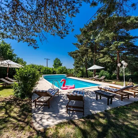La Guate - Maison Avec Piscine - Saint-émilion *